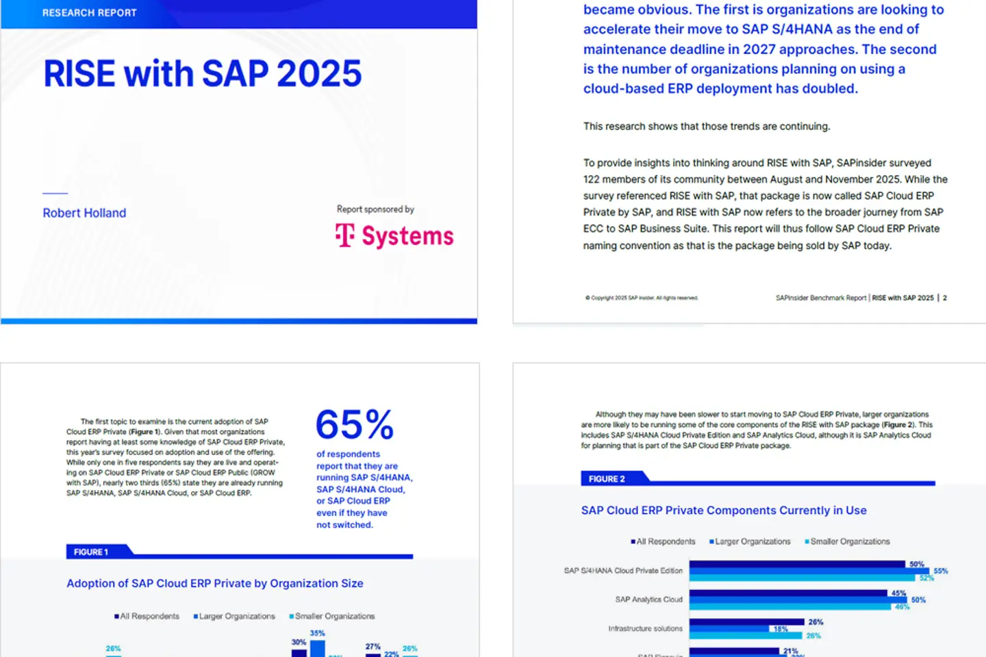 Cover und die nächste Seite als Screenshot des Whitepapers: RISE with SAP 2025