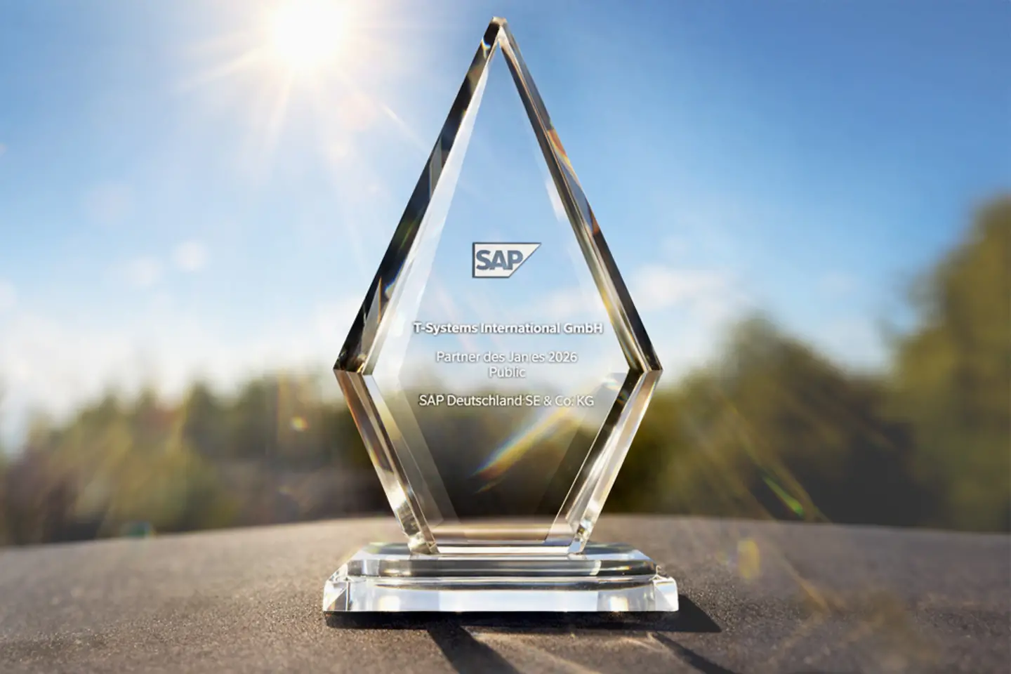 SAP Partner of the Year 2026 Public-onderscheiding, afbeelding bewerkt met AI