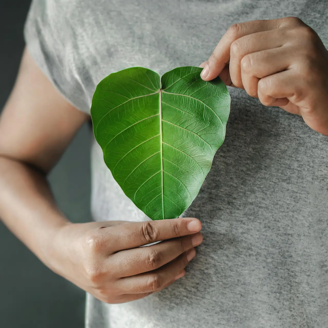 Person holding a heart-shaped green leaf