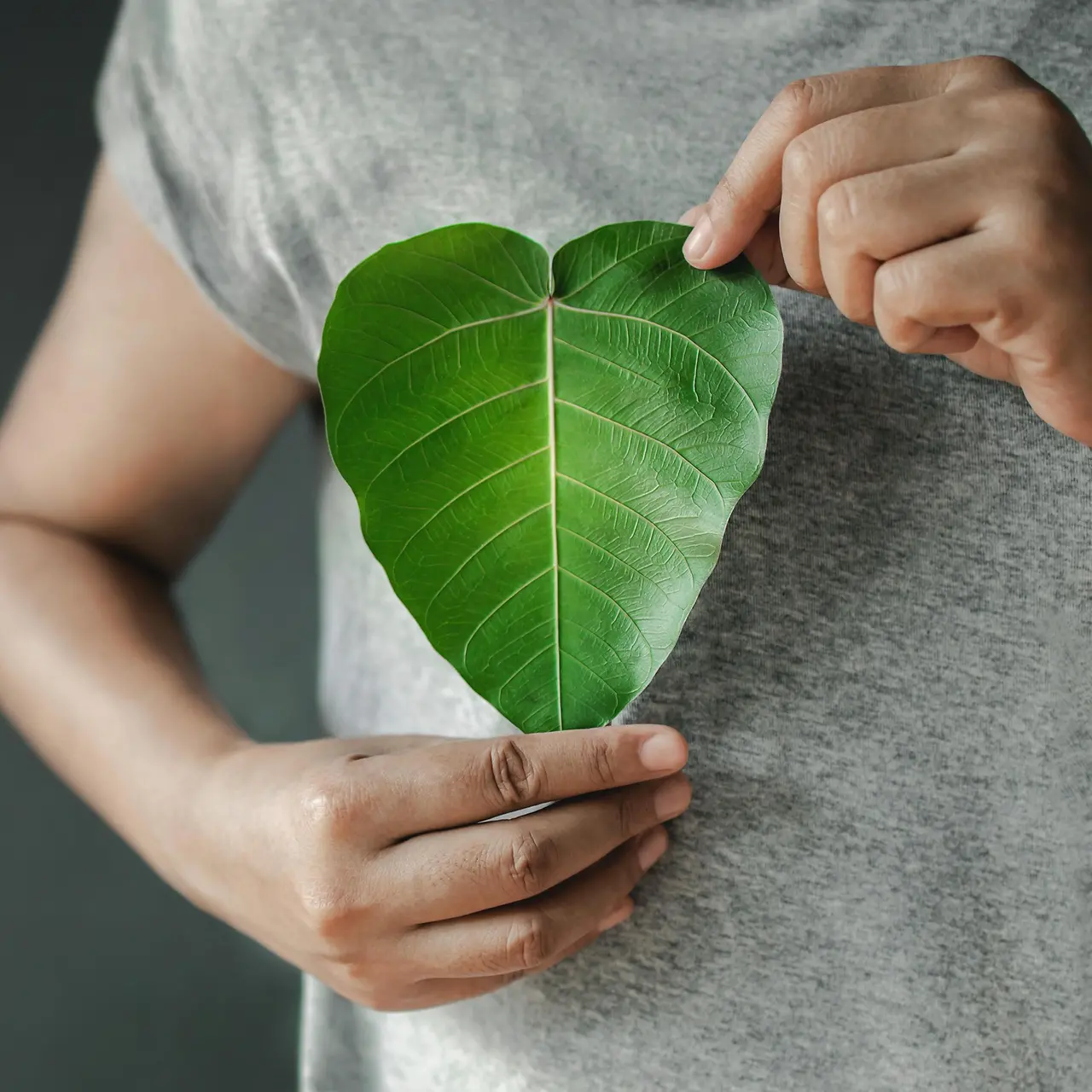 Person holding a heart-shaped green leaf