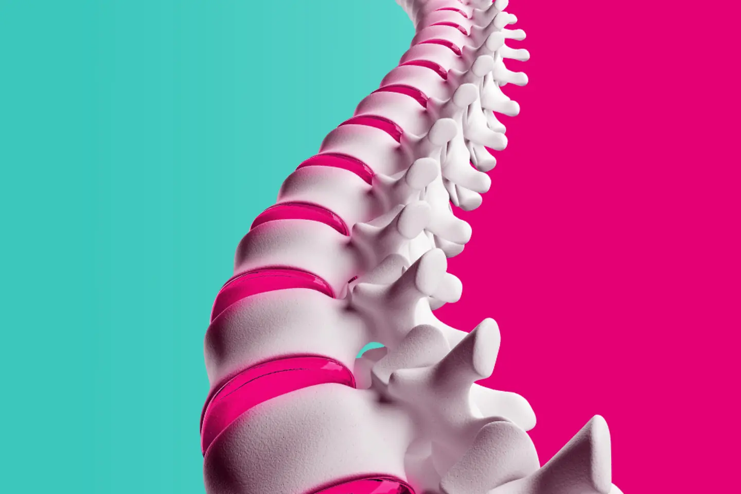 Modelo de uma coluna vertebral em frente a um fundo de cor magenta e menta